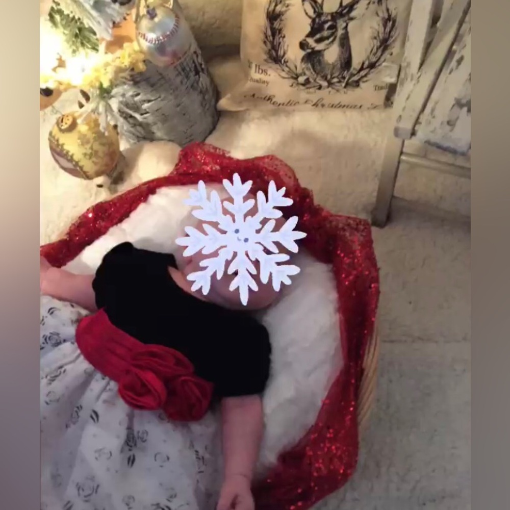 Holiday Dress